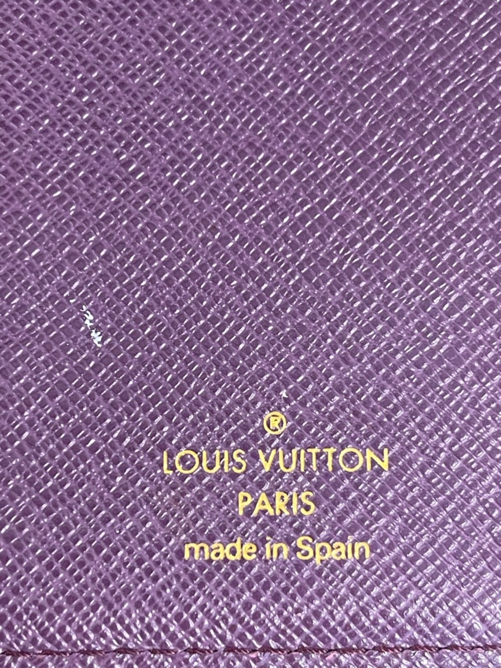 Louis Vuitton Epi PM 6-Ring Agenda Passport Holder in Yellow - Preowned - Picture 5 of 10
